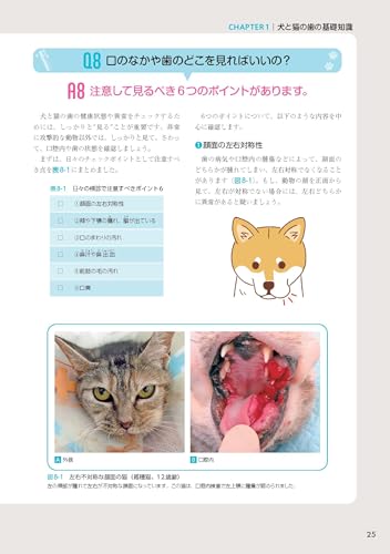 Amazon.co.jp: EDUWARD Press編集部: 本、バイオグラフィー、最新